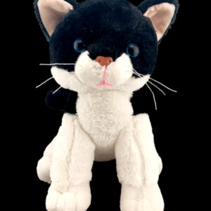 8" black and white cat