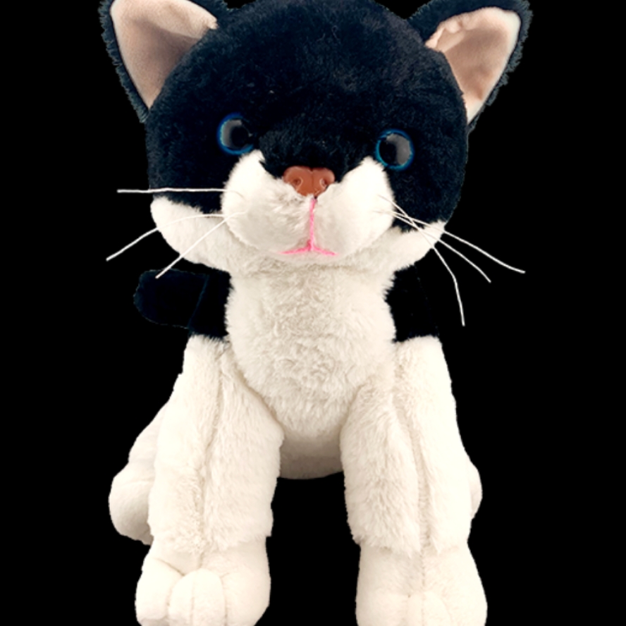8" black and white cat